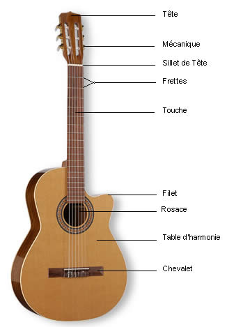 Les différents types de guitares en fonction des cordes et chevalets