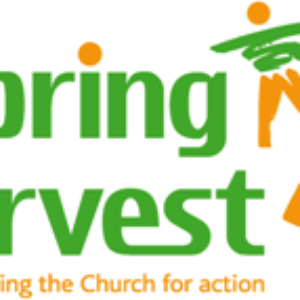 partition spring harvest