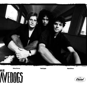 album the cavedogs