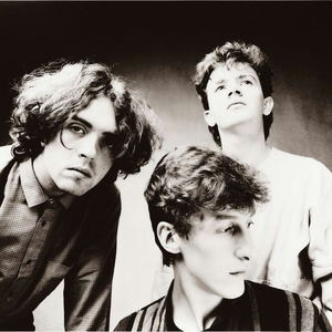 forum the icicle works