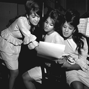 fans the ronettes