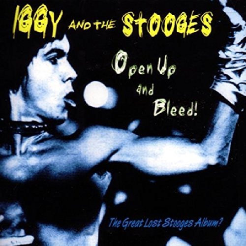 album iggy and the stooges