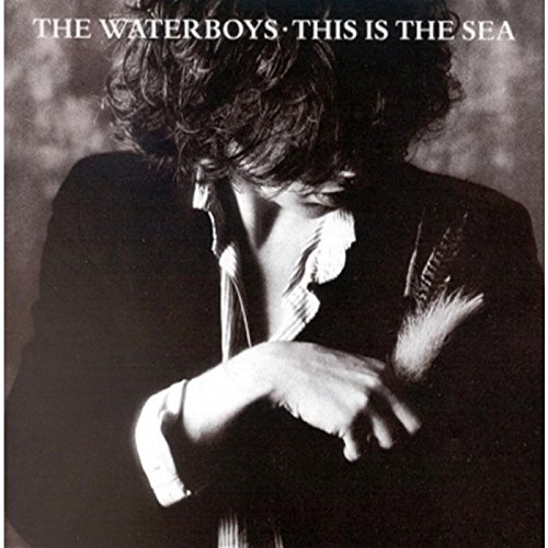 album the waterboys