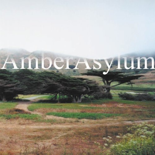 album amber asylum