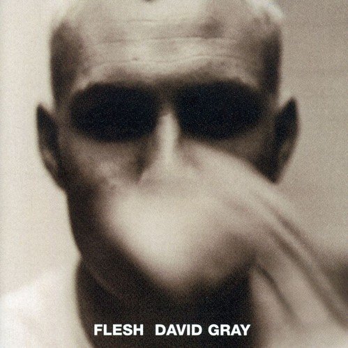 album david gray