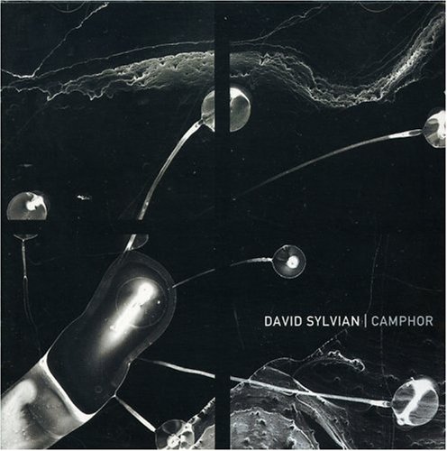 album david sylvian