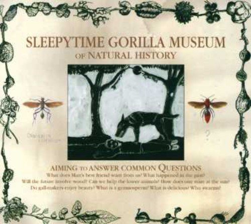 album sleepytime gorilla museum