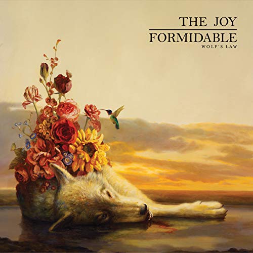 album the joy formidable