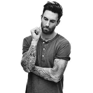 partition adam levine