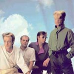 a flock of seagulls