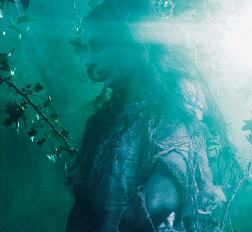 partition alcest