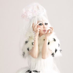 partition ali project