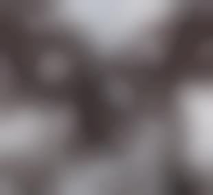 album amadou et mariam