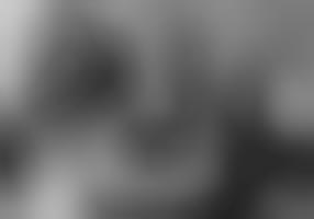 partition american dog