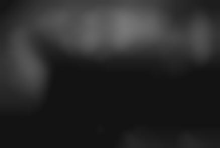 poster another animal