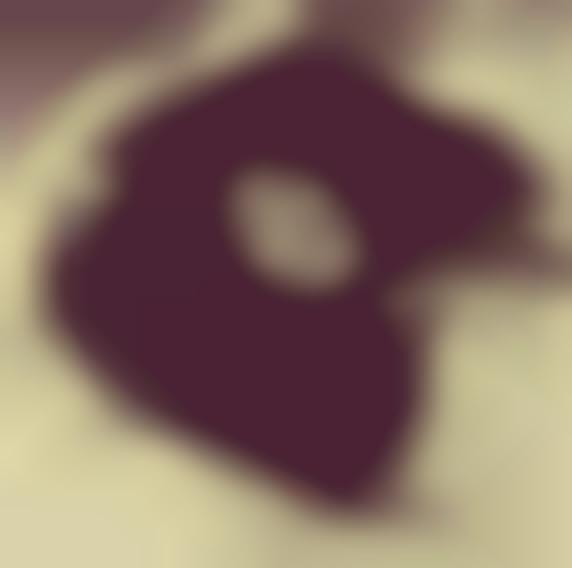 partition antony and the johnsons