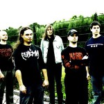 arsebreed