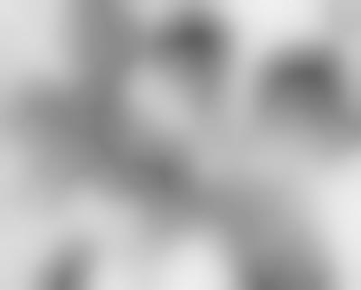 forum the beach boys