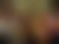 forum b�rurier noir