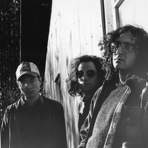 partition bitch magnet