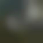 forum blues trottoir