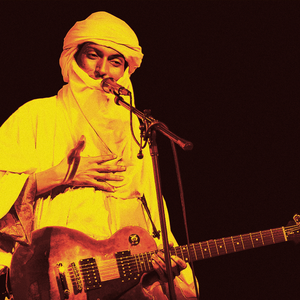 fans bombino