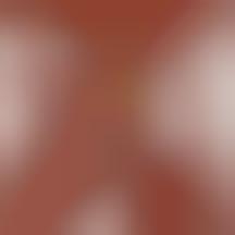 tshirt teresa bright