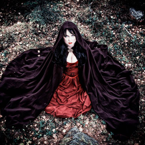 partition dark sarah