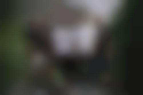 poster despised icon