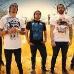 Destruction of a Rose