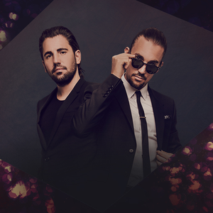 fans dimitri vegas and like mike