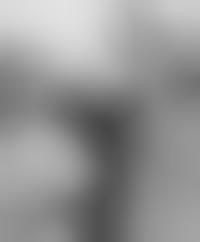 album dog s eye view