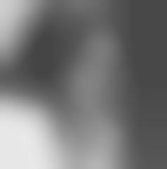 partition lesley gore