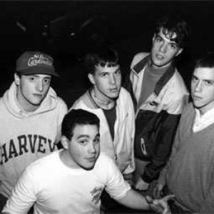 partition gorilla biscuits