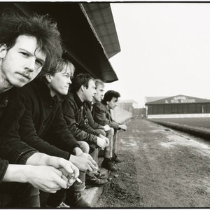 album half man half biscuit