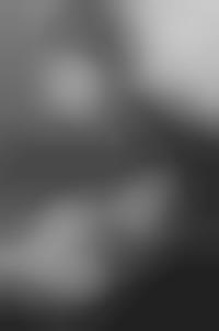 partition stuart hamm