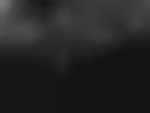 partition hollywood porn stars