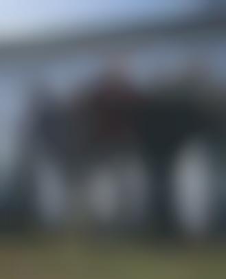 forum i killed the prom queen