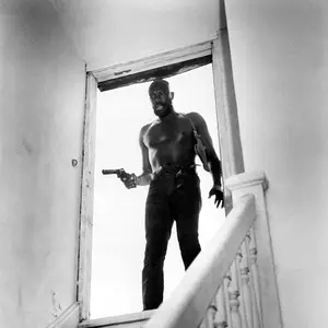 partition isaac hayes
