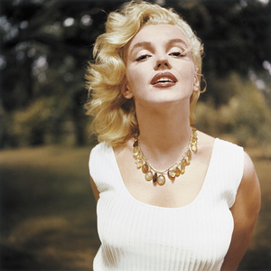 fans marilyn monroe