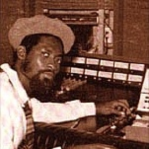 partition mikey dread