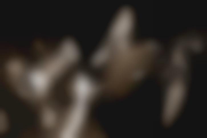 tablature million dead