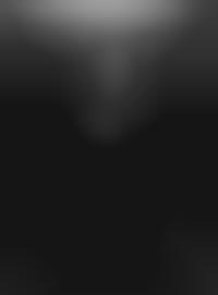 partition money mark