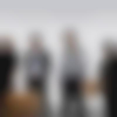 partition monkey majik