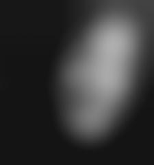 partition gary morris