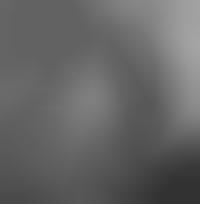 fans the nitty gritty dirt band