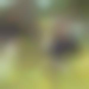 poster okkervil river