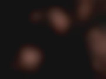 partition omaha bitch