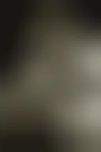 forum igor presnyakov