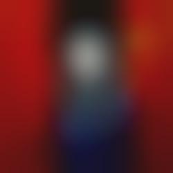 partition brisa roch�